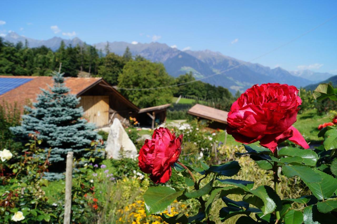Appartements Grumserhof Merano Dış mekan fotoğraf